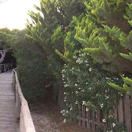 Muy Cerca De La Playa. Primera Linea. Διαμέρισμα Rota Εξωτερικό φωτογραφία